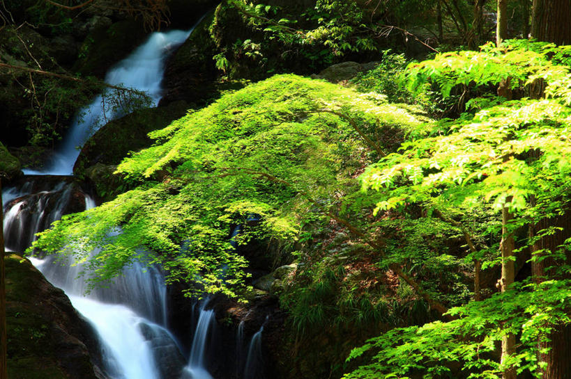 无人,横图,室外,白天,正面,旅游,度假,草地,草坪,美景,瀑布,树林,水,植物,日本,亚洲,阴影,飞溅,溅,光线,液体,影子,景观,水滴,娱乐,水珠,草,树,树木,绿色,阳光,自然,享受,休闲,景色,放松,生长,成长,喷洒,自然风光,东亚,德岛县,日本国,四国地方,四国,四国岛,徳岛,跌水,彩图