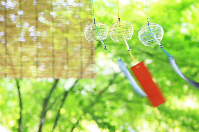 无人,横图,室内,特写,白天,正面,幸福,运气,树林,植物,风铃,玻璃,日本,亚洲,吊挂,悬挂,阴影,朦胧,模糊,装饰,光线,影子,竹帘,挂,玻璃制品,树,树木,三个,红色,蓝色,绿色,阳光,自然,帘子,祈祷,祈福,警示,许愿,生长,成长,华丽,修饰,祈求,吉祥,点缀,平和,问候,东亚,警惕,日本国,衬托,美观,雅致,雅观,思念,想念,玉振,幸运,占风铎,彩图,日式风铃