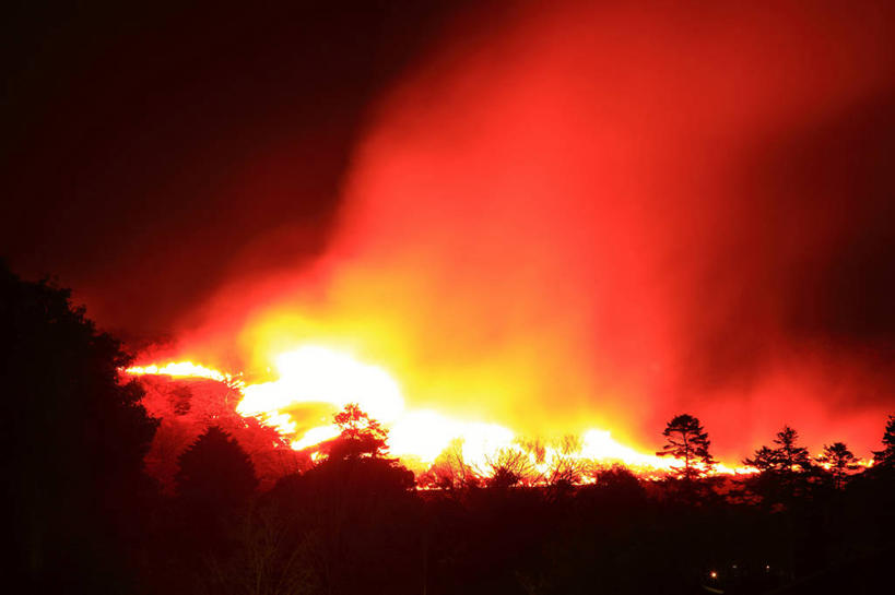 无人,横图,室外,夜晚,正面,热情,草地,草坪,树林,植物,火,奈良县,日本,亚洲,火焰,燃烧,草,树,树木,绿色,自然,生长,成长,火灾,灾难,东亚,本州,本州岛,日本国,近畿地方,奈良,近畿,县厅,劫难,磨难,灾祸,奈良市,彩图,若草山,灾害