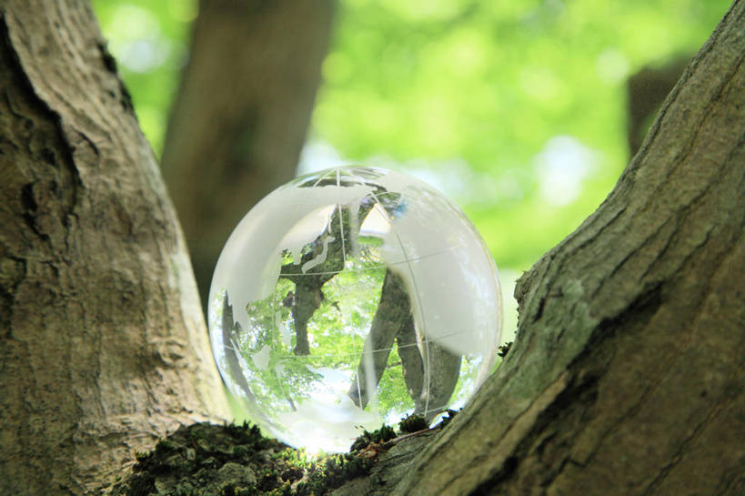 无人,横图,室外,特写,白天,正面,海洋,美景,阴影,朦胧,模糊,透明,光线,影子,世界地图,地球,景观,陆地,树桩,水晶,全球,树,树干,一个,阳光,自然,球体,木桩,水晶球,景色,地理,国家,单个,大陆,世界,自然风光,彩图,大洋,大洲