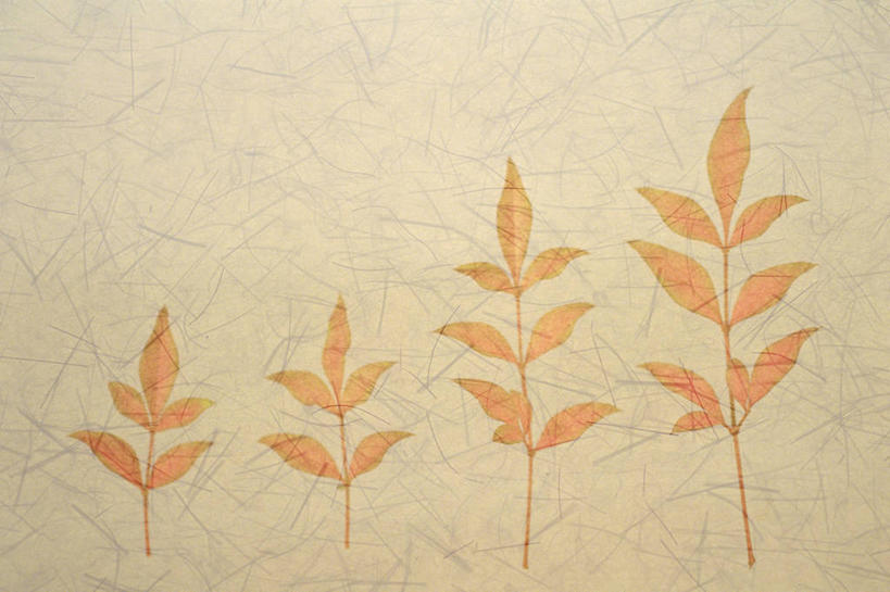 无人,横图,室内,特写,白天,正面,绘画,叶子,一排,阴影,艺术,整齐,反射,影子,枯叶,落叶,古典,文化,排列,工艺品,品味,四个,褐色背景,美术,高雅,队列,美学,叶,叶片,彩图