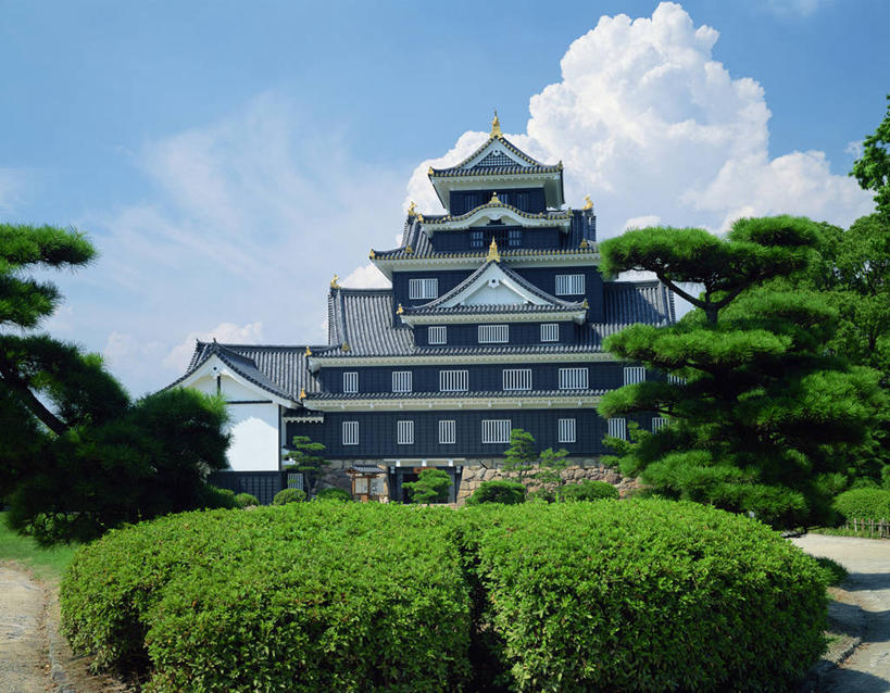 无人,横图,室外,白天,正面,旅游,度假,树林,植物,窗户,标志建筑,地标,建筑,长野县,日本,亚洲,阴影,光线,瓦片,影子,堡垒,城堡,墙,屋顶,云,云朵,云彩,顶棚,瓦,娱乐,建设,玻璃窗,墙壁,墙面,树,树木,蓝色,绿色,白云,蓝天,天空,阳光,自然,天,享受,休闲,旅游胜地,放松,建造,生长,晴朗,成长,要塞,东亚,屋瓦,本州,本州岛,日本国,中部地方,长野,设防,冈谷,晴空,彩图