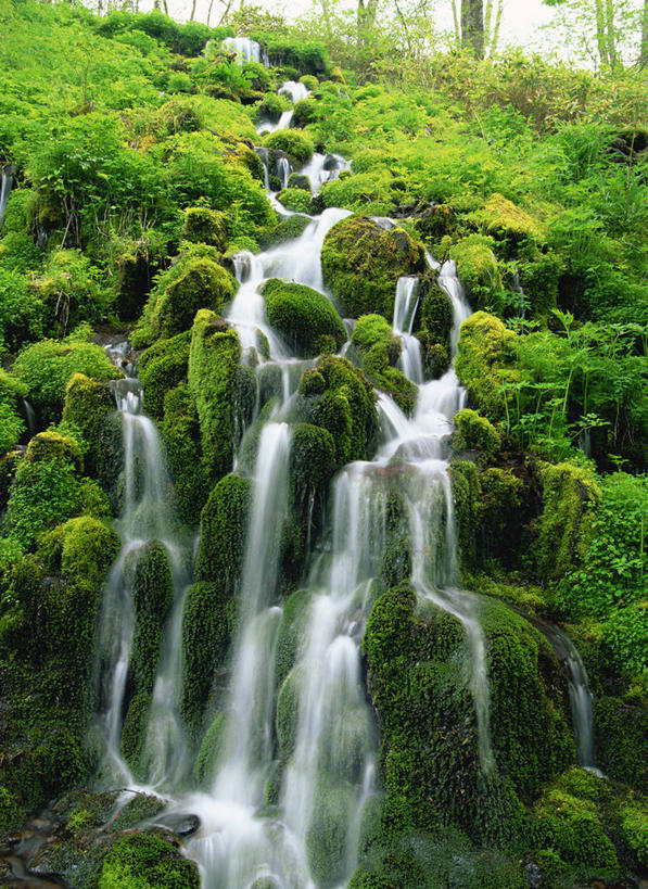 无人,竖图,室外,白天,正面,河流,石头,美景,瀑布,山,山脉,水,长野县,日本,亚洲,飞溅,朦胧,模糊,溅,石子,液体,河水,景观,山峰,水滴,水流,青苔,苔藓,山峦,水珠,小溪,自然,群山,溪水,景色,喷洒,自然风光,东亚,沉积岩,本州,本州岛,日本国,中部地方,长野,灯芯草,灯心草,蔺草,龙须草,马棕根,蓑衣草,野席草,水成岩,跌水,石块,岩石,彩图