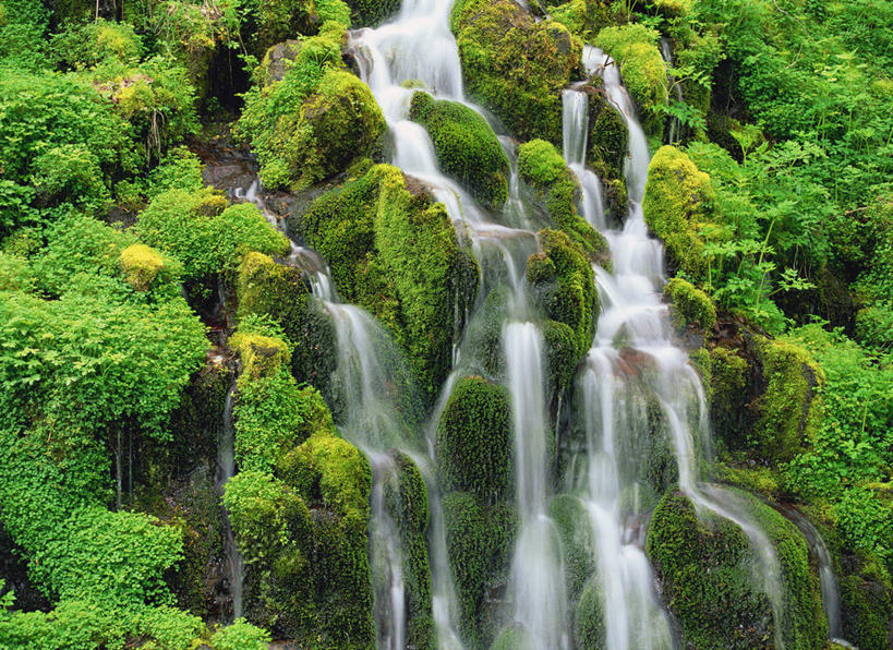 无人,横图,室外,白天,正面,河流,石头,美景,瀑布,山,山脉,水,长野县,日本,亚洲,飞溅,朦胧,模糊,溅,石子,液体,河水,景观,山峰,水滴,水流,青苔,苔藓,山峦,水珠,小溪,自然,群山,溪水,景色,喷洒,自然风光,东亚,沉积岩,本州,本州岛,日本国,中部地方,长野,灯芯草,灯心草,蔺草,龙须草,马棕根,蓑衣草,野席草,水成岩,跌水,石块,岩石,彩图