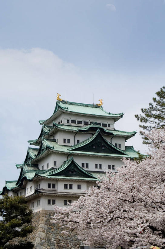 无人,竖图,室外,白天,仰视,旅游,度假,幸福,纯洁,植物,标志建筑,地标,建筑,樱花,爱知县,名古屋,日本,亚洲,阴影,盛开,光线,瓦片,影子,堡垒,城堡,墙,屋顶,云,云朵,花蕾,云彩,顶棚,瓦,娱乐,建设,墙壁,墙面,花,花瓣,花朵,鲜花,树,树木,蓝色,绿色,白云,蓝天,天空,阳光,自然,天,花苞,花蕊,享受,休闲,旅游胜地,放松,建造,生长,晴朗,成长,等待,生命,要塞,东亚,屋瓦,本州,本州岛,日本国,中部地方,爱知,仙樱花,福岛樱,青肤樱,高尚,县厅,名古屋市,热烈,设防,晴空,荆桃,彩图,低角度拍摄,名古屋城