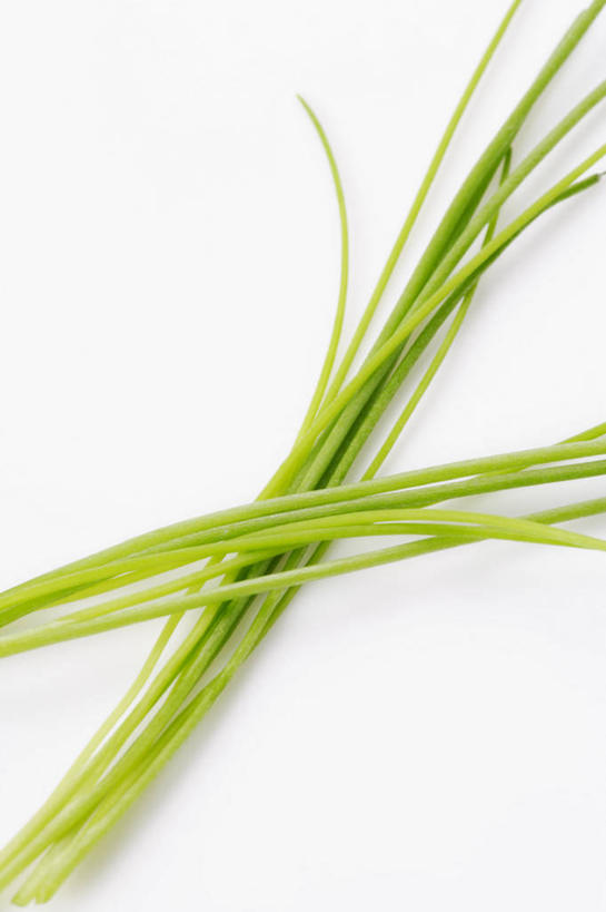 无人,竖图,俯视,室内,特写,白天,白色背景,植物,蔬菜,阴影,新鲜,反射,影子,葱,食品,草药,药草,中药,食物,绿色,自然,摄影,有机食品,绿色食品,影棚,生长,成长,细香葱,香葱,药材,中草药,中药材,本草,彩图,高角度拍摄,影棚拍摄,拍摄