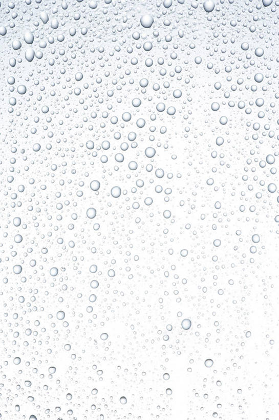 无人,竖图,室内,特写,白天,白色背景,正面,水,露水,透明,液体,水滴,水珠,露珠,摄影,影棚,生机,剔透,灵动,通明,彩图,影棚拍摄,拍摄,晶莹