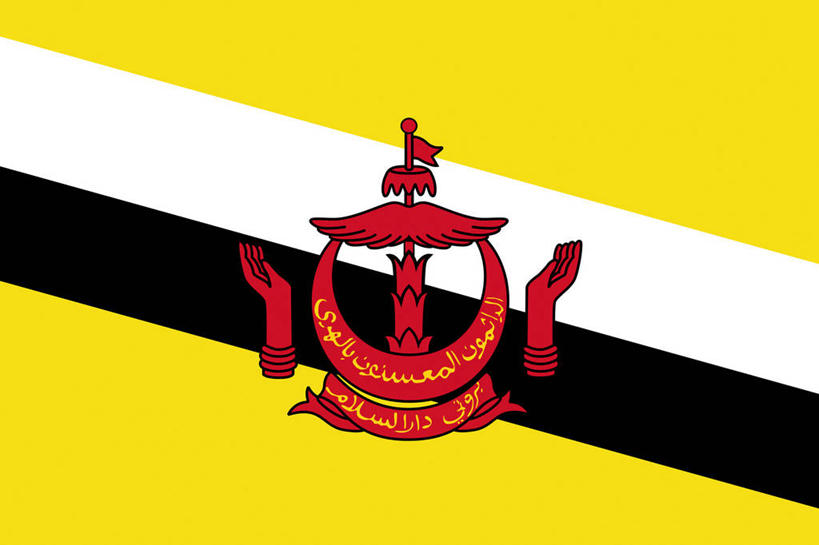 手,无人,横图,室内,特写,白天,正面,静物,旗帜,国旗,一面,标志,文字,字符,字母,月牙,标识,黄色,红色,白色,黑色,手部,徽章,国徽,月芽,新月,旗,彩图,马来文,文莱国徽,文莱国旗