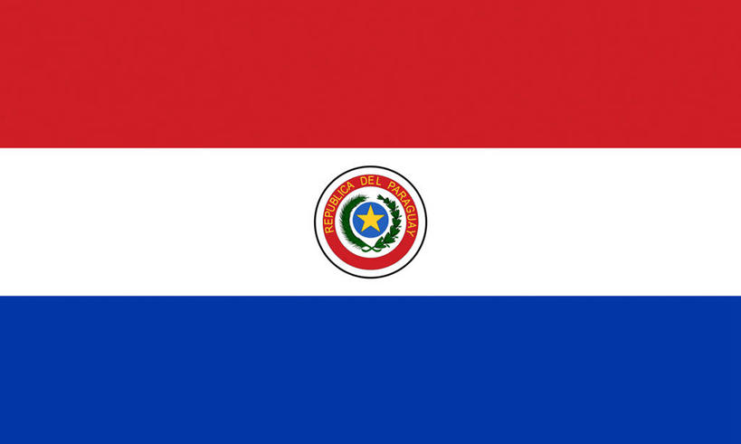 无人,横图,室内,特写,白天,正面,静物,旗帜,国旗,叶子,一面,条纹,英文,圆形,标志,图形,文字,圆,字符,字母,星星,绿叶,枝条,一颗,几何,标识,树枝,黄色,红色,蓝色,白色,星形,嫩叶,橄榄枝,英文字母,徽章,数学,五角形,国徽,虬枝,枝杈,叶,叶片,旗,五角星,彩图,几何图形,三色旗,平面图形,巴拉圭国徽,巴拉圭国旗