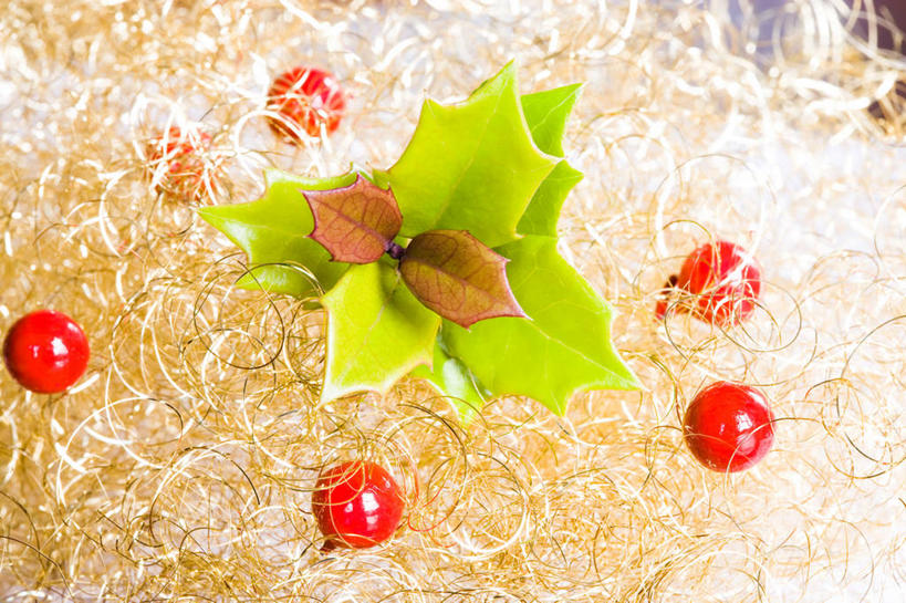 无人,横图,室内,特写,白天,正面,浆果,圣诞节,阴影,节日,庆祝,环绕,缠绕,反射,影子,文化,红色,庆典,冬青,纪念,希望,生命,纠缠,槲寄生,北寄生,桑寄生,柳寄生,黄寄生,冻青,寄生子,丰饶,彩图