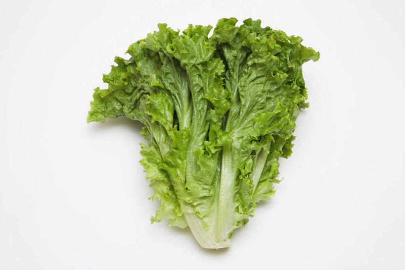 无人,横图,俯视,室内,特写,白天,白色背景,餐桌,桌子,阴影,反射,影子,生菜,莴苣,一个,摄影,影棚,单个,餐台,春菜,鹅仔菜,莴仔菜,千金菜,叶用莴苣,彩图,高角度拍摄,影棚拍摄,拍摄