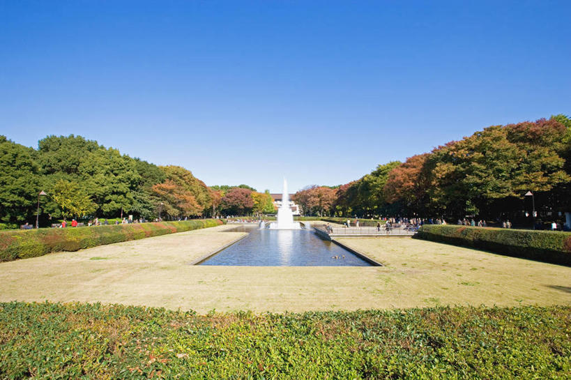 无人,公园,横图,室外,白天,正面,旅游,度假,草地,美景,树林,水,植物,喷泉,东京,日本,亚洲,阴影,飞溅,溅,光线,液体,影子,景观,水滴,文化,娱乐,水珠,草,树,树木,蓝色,绿色,蓝天,天空,阳光,自然,天,品味,享受,休闲,景色,放松,生长,晴朗,成长,喷洒,自然风光,水景,东亚,本州,万里无云,关东地方,本州岛,日本国,东京都,美观,东京上野公园,台东区,设计,晴空,晴空万里,彩图,上野,上野恩赐公园,上野公园