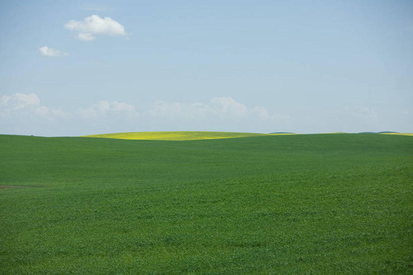 无人,横图,室外,白天,正面,旅游,度假,草地,草原,美景,植物,加拿大,阴影,光线,影子,地平线,景观,旷野,云,云朵,辽阔,地面,云彩,娱乐,草,蓝色,绿色,白云,蓝天,天空,阳光,自然,天,享受,休闲,广阔,景色,放松,晴朗,一望无际,北美,北美洲,自然风光,原野,延伸,美洲,阿尔伯塔省,阿尔伯塔,天地相交,北亚美利加洲,亚美利加洲,艾伯塔,艾伯塔省,无边无际,一马平川,亚伯达,晴空,彩图,阿省,艾省,亚伯达省,亚省