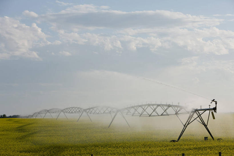 无人,农田,横图,室外,白天,正面,旅游,度假,农业,庄稼,农作物,美景,汽车,加拿大,阴影,光线,影子,景观,云,云朵,云彩,娱乐,车,蓝色,白云,蓝天,天空,阳光,自然,交通工具,天,享受,休闲,机械,景色,放松,晴朗,北美,北美洲,自然风光,载具,美洲,阿尔伯塔省,阿尔伯塔,洒水机,北亚美利加洲,亚美利加洲,交通运输,农用机械,艾伯塔,艾伯塔省,亚伯达,晴空,彩图,耕地,庄稼田,阿省,艾省,亚伯达省,亚省