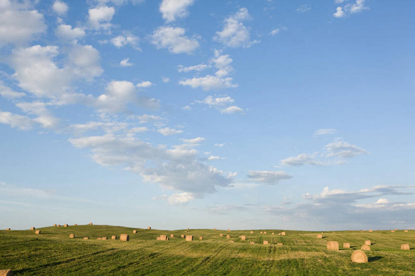 无人,农田,横图,室外,白天,正面,旅游,度假,庄稼,农作物,美景,加拿大,阴影,光线,影子,地平线,景观,云,云朵,辽阔,干草,地面,云彩,娱乐,蓝色,白云,蓝天,天空,阳光,自然,草垛,天,享受,休闲,广阔,景色,放松,晴朗,一望无际,北美,北美洲,自然风光,延伸,美洲,阿尔伯塔省,阿尔伯塔,天地相交,北亚美利加洲,亚美利加洲,艾伯塔,艾伯塔省,无边无际,一马平川,亚伯达,干草垛,晴空,彩图,耕地,庄稼田,阿省,艾省,亚伯达省,亚省