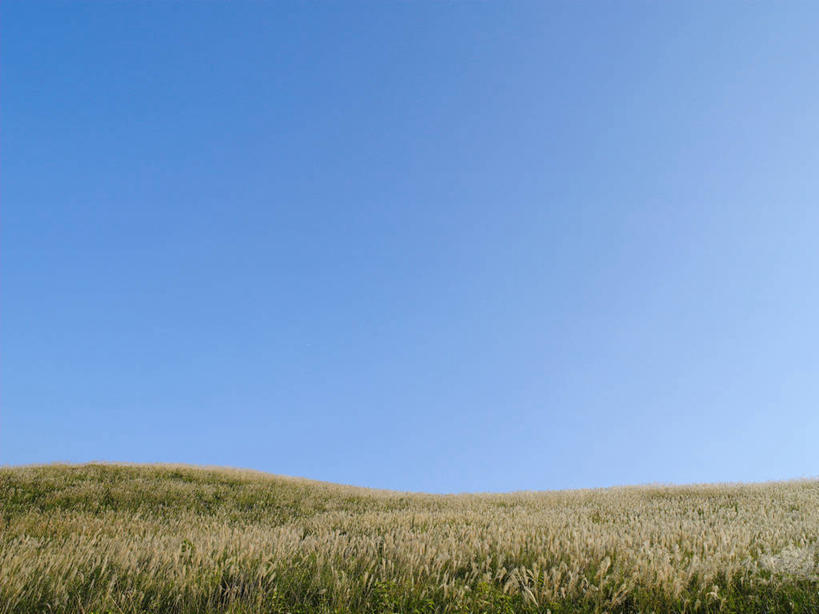 无人,横图,室外,白天,正面,旅游,度假,草地,草原,美景,植物,爱媛县,日本,亚洲,阴影,光线,影子,地平线,景观,旷野,辽阔,地面,娱乐,草,蓝色,绿色,蓝天,天空,阳光,自然,天,享受,休闲,广阔,景色,放松,晴朗,一望无际,自然风光,原野,延伸,东亚,万里无云,日本国,天地相交,爱媛,四国地方,四国,四国岛,无边无际,一马平川,晴空,晴空万里,彩图