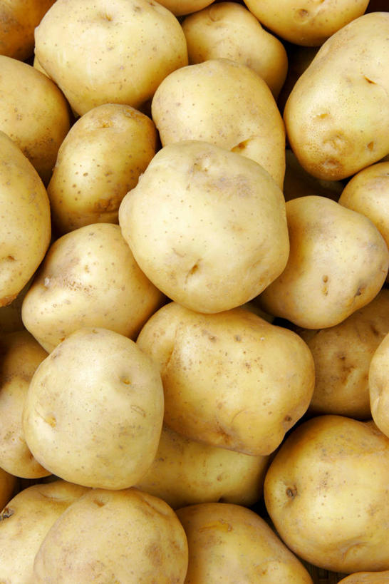 无人,竖图,俯视,室内,特写,白天,蔬菜,土豆,一堆,许多,阴影,堆叠,堆积,新鲜,反射,影子,食品,很多,食物,有机食品,绿色食品,堆,馍馍蛋,洋芋,山药蛋,马铃薯,彩图,高角度拍摄