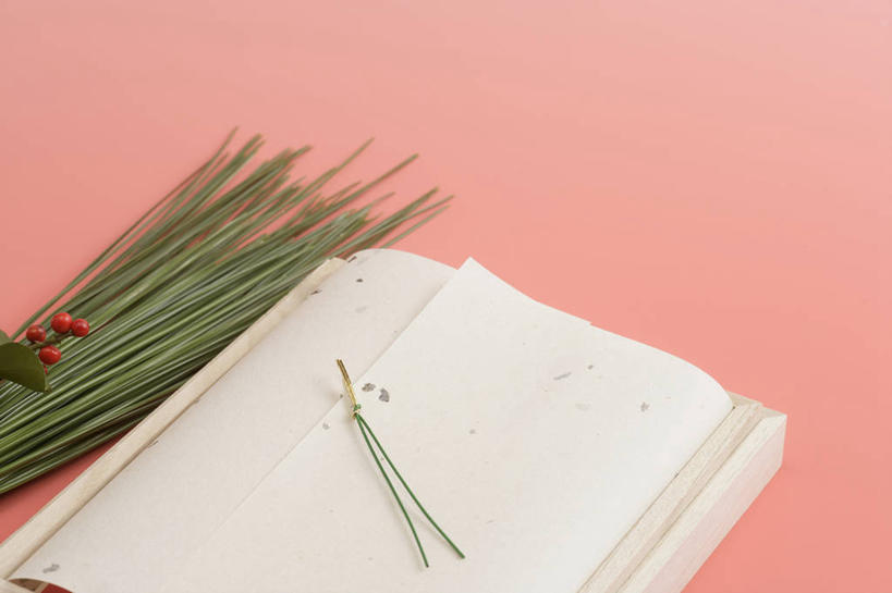 无人,横图,俯视,室内,特写,白天,植物,叶子,阴影,反射,纹理,信封,影子,绿叶,绿色,嫩叶,摄影,冬青,影棚,希望,生命,肌理,槲寄生,北寄生,桑寄生,柳寄生,黄寄生,冻青,寄生子,丰饶,叶,叶片,叶脉,彩图,高角度拍摄,影棚拍摄,拍摄