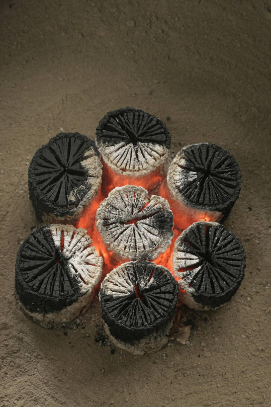 无人,竖图,俯视,室内,特写,白天,热情,静物,火,许多,环绕,围绕,圆形,火焰,图形,圆,很多,几何,燃烧,环抱,木炭,黑色,能源,燃料,数学,能量,萦绕,煤矿,矿业,化石燃料,柴炭,彩图,高角度拍摄,几何图形,平面图形