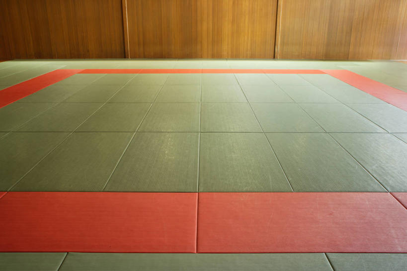 无人,体育馆,运动场,横图,室内,白天,正面,锻炼,运动,柔道,阴影,反射,木制,影子,墙,体育场,墙壁,墙面,木制品,垫子,运动馆,体育,彩图,健身