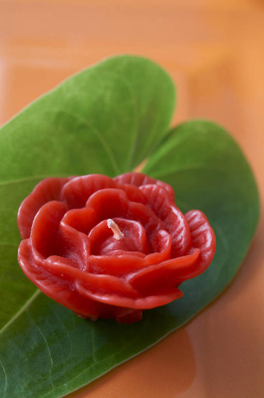 无人,竖图,俯视,室内,特写,白天,植物,蜡烛,叶子,一片,阴影,朦胧,模糊,反射,纹理,影子,绿叶,一个,红色,绿色,香薰,嫩叶,放松,芳香疗法,单个,舒心,舒缓,养颜,肌理,减压,烛炬,香薰疗法,叶,叶片,叶脉,彩图,高角度拍摄,香薰蜡烛