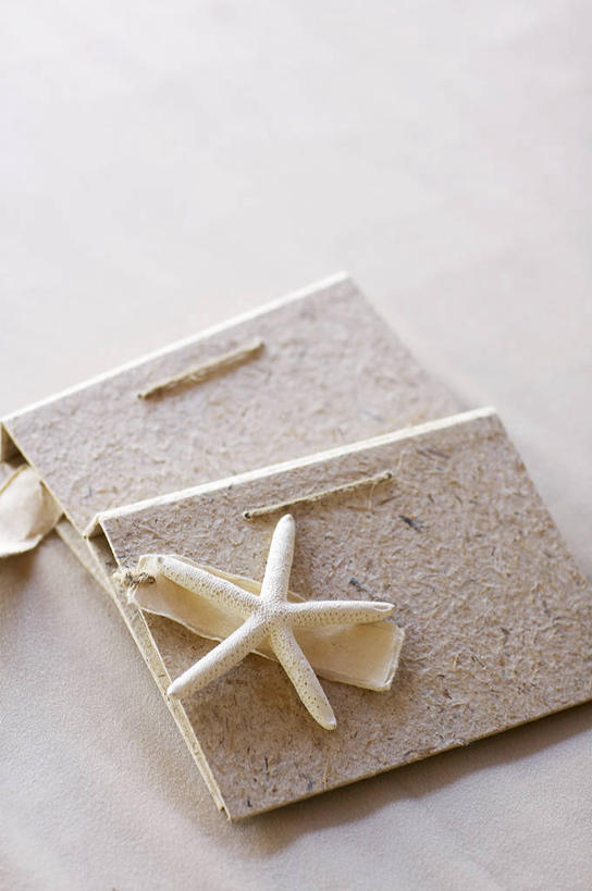 无人,竖图,俯视,照片,室内,特写,白天,白色背景,海星,书籍,阴影,反射,相册,影子,海洋生物,一个,动物,生物,摄影,影棚,单个,影集,两本,棘皮动物门,书,相片,星鱼,彩图,高角度拍摄,影棚拍摄,拍摄,照相,照片集,照片书