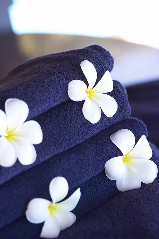 无人,竖图,室内,特写,白天,正面,四朵,阴影,朦胧,模糊,盛开,反射,纺织物,影子,花蕾,赤素馨花,花,花瓣,花朵,鲜花,紫色,毛巾,花苞,花蕊,清洁,保暖,透气,防水,缅栀子,蛋黄花,鸡蛋花,缅栀花,储水,耐磨,吸水,大季花,印度素馨,彩图