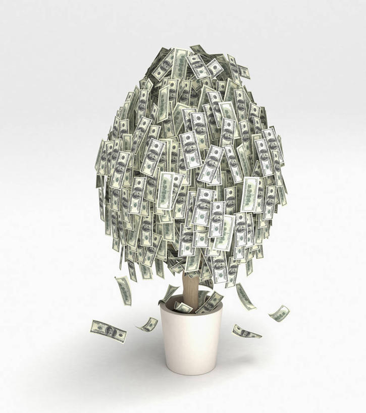 无人,竖图,室内,特写,白天,白色背景,正面,钱,美元,植物,静物,一堆,许多,阴影,堆叠,堆积,反射,钱币,影子,枝条,很多,美金,树,树木,树枝,绿色,自然,钞票,金融,纸币,摄影,影棚,生长,经济,成长,堆,美圆,流通,纸钞,贸易,摇钱树,虬枝,枝杈,货币,现金,彩图,影棚拍摄,拍摄