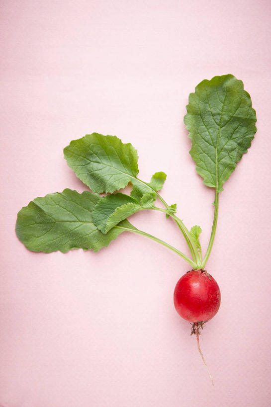 无人,竖图,俯视,室内,特写,白天,萝卜,蔬菜,阴影,粉色背景,新鲜,反射,影子,食品,食物,一个,红色,摄影,有机食品,绿色食品,影棚,水萝卜,单个,彩图,高角度拍摄,影棚拍摄,拍摄