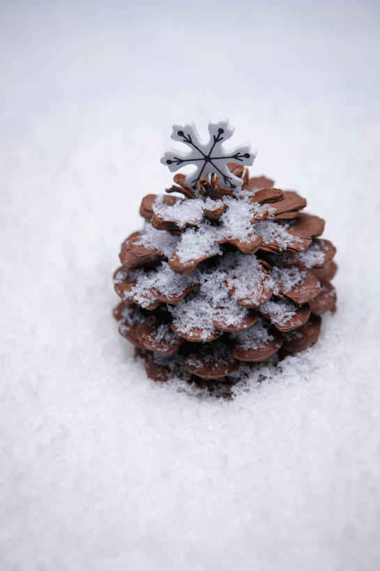 竖图,俯视,室内,特写,白天,雪,大雪,阴影,反射,影子,积雪,雪景,冬季,冬天,坚果,果实,松果,一个,干果,寒冷,单个,松塔,严寒,半身,彩图,高角度拍摄