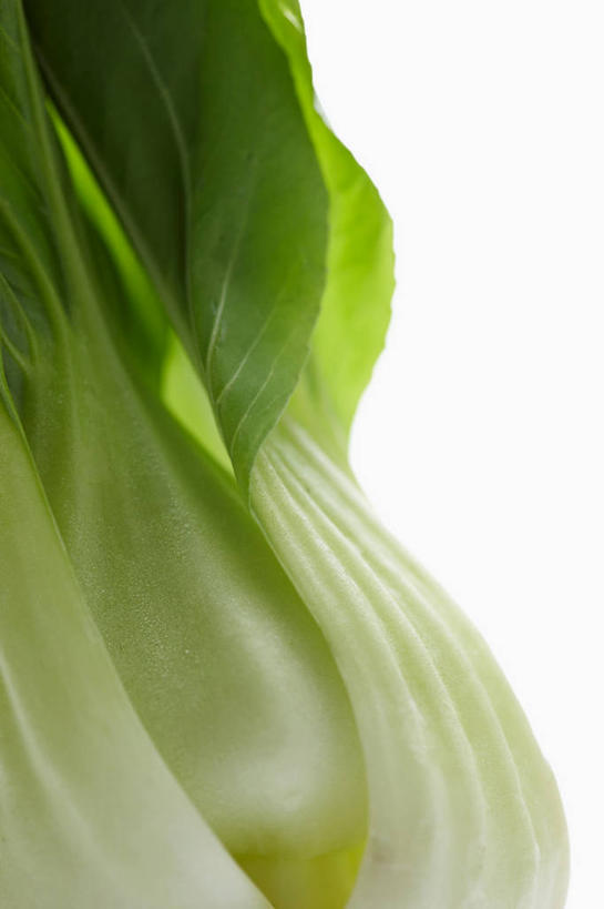 无人,竖图,室内,特写,白天,白色背景,正面,蔬菜,阴影,新鲜,反射,影子,青菜,食品,食物,一个,白色,摄影,有机食品,绿色食品,影棚,单个,小白菜,不结球白菜,彩图,影棚拍摄,拍摄