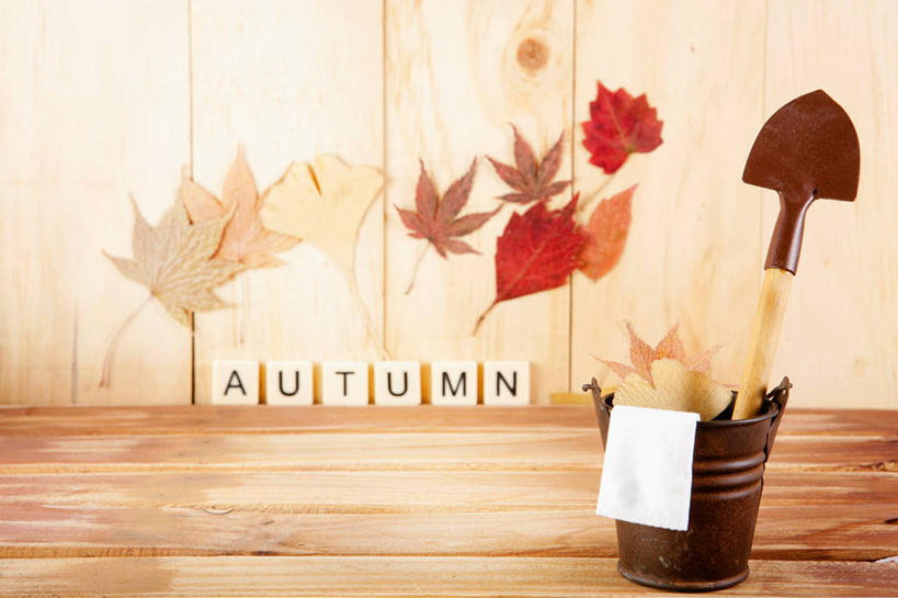 无人,横图,插画,室内,白天,正面,数码,科技,叶子,金属制品,阴影,网络,金属,英文,标志,工具,铁桶,桶,文字,字符,字母,枫叶,枯叶,落叶,高光,几何,计算机图形,合成,图画,标识,画,黄色,红色,容器,铁锹,枫树叶,储藏,英文字母,电脑合成图,数码合成图,合成图,储存,漫画,农具,写实,具体,具象,耕具,叶,叶片,彩图,贮存