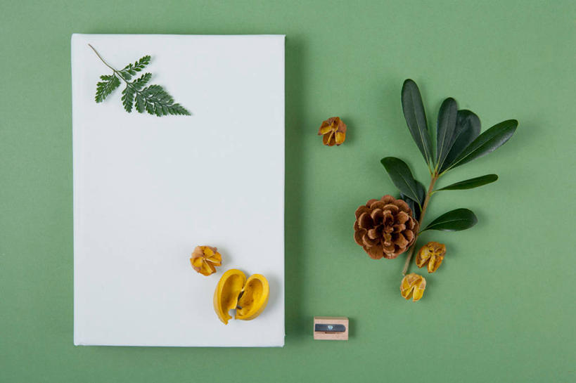 无人,横图,俯视,室内,特写,白天,植物,叶子,绿色背景,阴影,反射,英文,标志,文字,影子,字符,字母,绿叶,分开,标识,绿色,自然,嫩叶,隔断,摄影,隔离带,影棚,生长,成长,英文字母,隔离,蕨类,蕨类植物,间隔,断绝,隔开,屏蔽,屏绝,远离,中断,阻遏,阻隔,叶,叶片,彩图,高角度拍摄,影棚拍摄,拍摄,栏杆座,一米线