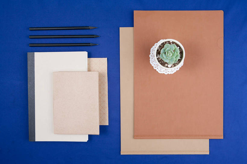 无人,横图,俯视,室内,特写,白天,植物,蓝色背景,笔,盆栽,办公用品,记事本,盆景,文具,绿色,自然,本子,笔记本,铅笔,学习用品,摄影,影棚,生长,成长,文具用品,彩图,高角度拍摄,影棚拍摄,拍摄,多浆植物,多肉植物,肉质植物