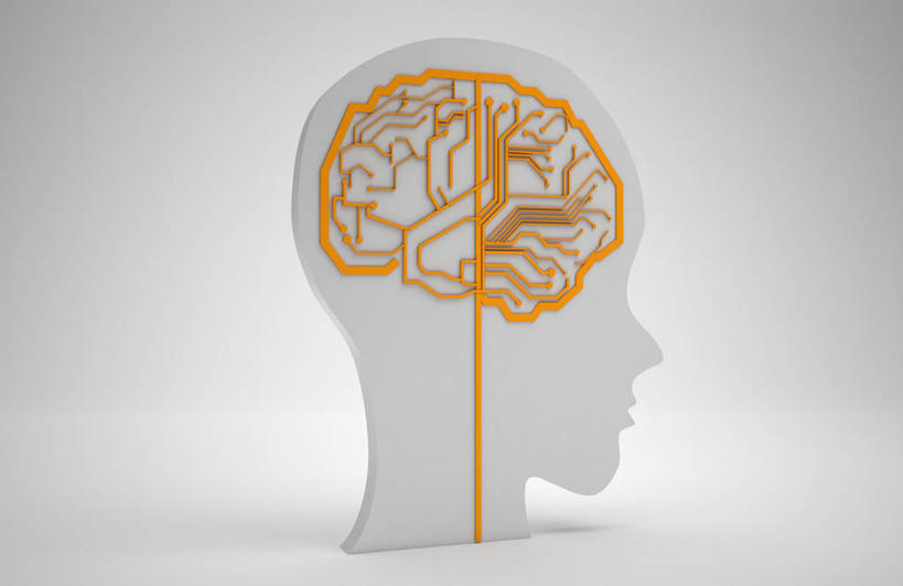 无人,横图,室内,白天,正面,静物,大脑,灰色背景,模型,摄影,影棚,器官,沟壑,小脑,脑干,大脑皮层,端脑,沟,灰质,回,间脑,半身,彩图,影棚拍摄,拍摄