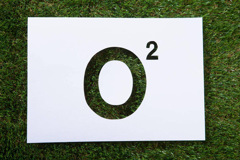 无人,横图,俯视,室外,特写,白天,草地,草坪,植物,阴影,反射,英文,标志,文字,影子,纸,字符,字母,纸张,标识,草,绿色,英文字母,氧气,阿拉伯文,阿拉伯语,阿拉伯字母,无色,无味,画纸,彩图,高角度拍摄,无机物,铅画纸,素描纸,顺磁性,无臭