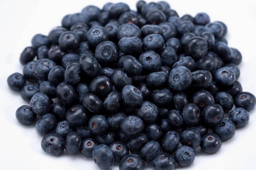 无人,横图,俯视,室内,特写,白天,白色背景,浆果,蓝莓,水果,一堆,堆叠,堆积,新鲜,生食,食品,果实,食物,摄影,有机食品,绿色食品,影棚,堆,山都柿,蓝浆果,蓝靛果,彩图,高角度拍摄,影棚拍摄,拍摄,都柿,笃斯
