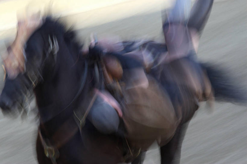 无人,横图,俯视,室外,白天,沙漠,马,野生动物,奔驰,阴影,朦胧,模糊,光线,纹路,纹理,影子,一匹,阳光,动物,奔跑,运输,牲畜,肌理,大漠,砂漠,半身,彩图,高角度拍摄