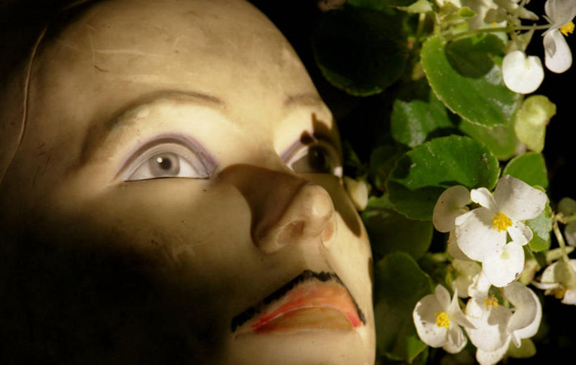 西方人,脸,头,脸颊,一个人,无人,横图,俯视,室内,特写,白天,植物,叶子,欧洲,欧洲人,仅一个男性,仅一个人,阴影,盛开,反射,人造模特,纹理,影子,绿叶,花蕾,注视,花,花瓣,花朵,鲜花,仅一个年轻男性,绿色,白色,花苞,花蕊,观察,看,嫩叶,道具,观看,察看,关注,服装模特,模特道具,时装道具,展示道具,服装模特道具,陈列道具,肌理,男人,男性,年轻男性,白种人,头部,脸部,脸蛋,面部,叶,叶片,叶脉,半身,彩图,高角度拍摄