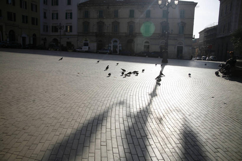 无人,家,站,横图,室外,白天,正面,旅游,度假,美景,城市风光,城市,建筑,鸟,野生动物,意大利,欧洲,许多,阴影,光线,斑鸠,鸟类,影子,房屋,屋子,景观,公寓,很多,注视,娱乐,建设,洋房,楼房,住宅,阳光,动物,观察,看,站着,享受,休闲,景色,放松,可爱,活泼,观看,察看,关注,南欧,意大利共和国,欧斑鸠,撒丁岛,萨萨里省,站立,彩图,全身,房子,鹁鸪,鹁鸠,水鸪鸪