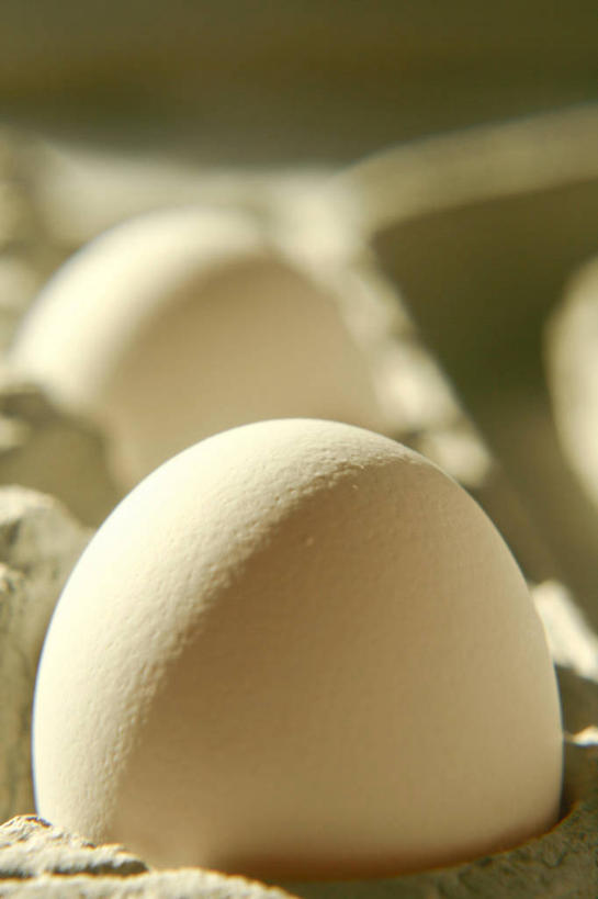 无人,竖图,俯视,室内,特写,白天,阴影,环保,朦胧,模糊,反射,蛋格,影子,蛋,鸡蛋,两个,能源,回收,资源,利用,低碳,鸡蛋盒,循环,草鸡蛋,鸡蛋格,蛋托,蛋盒,卵,持续,彩图,高角度拍摄,本鸡蛋,笨鸡蛋,柴鸡蛋,山鸡蛋,土鸡蛋