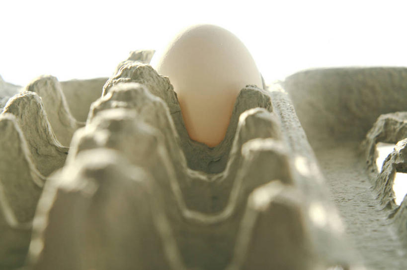 无人,横图,俯视,室内,特写,白天,阴影,环保,朦胧,模糊,反射,蛋格,影子,蛋,鸡蛋,一个,能源,单个,回收,资源,利用,低碳,鸡蛋盒,循环,草鸡蛋,鸡蛋格,蛋托,蛋盒,卵,持续,彩图,高角度拍摄,本鸡蛋,笨鸡蛋,柴鸡蛋,山鸡蛋,土鸡蛋