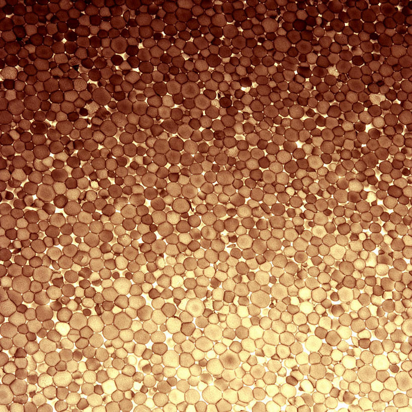 无人,方图,俯视,室内,特写,白天,幸福,静物,阴影,光线,影子,灯光,辉煌,温暖,橙色,活泼,泡沫板,华丽,暖色,温情,炽热,响亮,跃动,甜蜜,彩图,高角度拍摄,愉快,EPS板,聚苯乙烯泡沫板