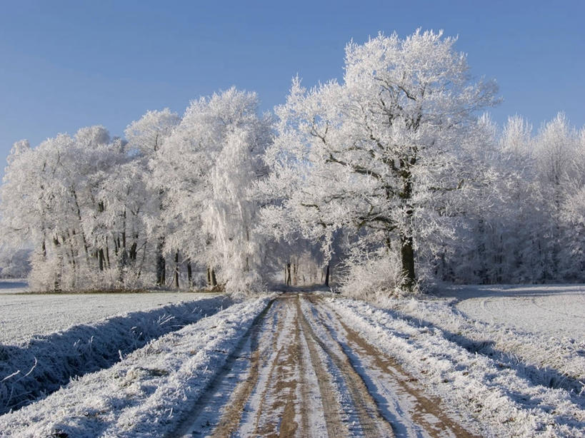 无人,横图,室外,白天,正面,旅游,度假,草地,草坪,美景,植物,道路,路,德国,欧洲,吊挂,悬挂,阴影,清澈,光线,影子,景观,小路,交通,挂,霜,娱乐,草,树,树木,蓝色,绿色,蓝天,天空,阳光,自然,天,享受,休闲,景色,放松,寒冷,乡间小路,生长,晴朗,成长,冰冷,西欧,自然风光,万里无云,德意志联邦共和国,严寒,冰凉,酷寒,凛冽,凛凛,极冷,清亮,萨克森州,萨克森自由州,晴空,晴空万里,彩图