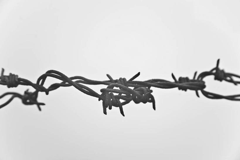 无人,横图,室内,特写,白天,白色背景,正面,静物,金属制品,环绕,缠绕,金属,铁丝网,摄影,影棚,锋利,尖锐,纠缠,铁蒺藜,彩图,影棚拍摄,拍摄