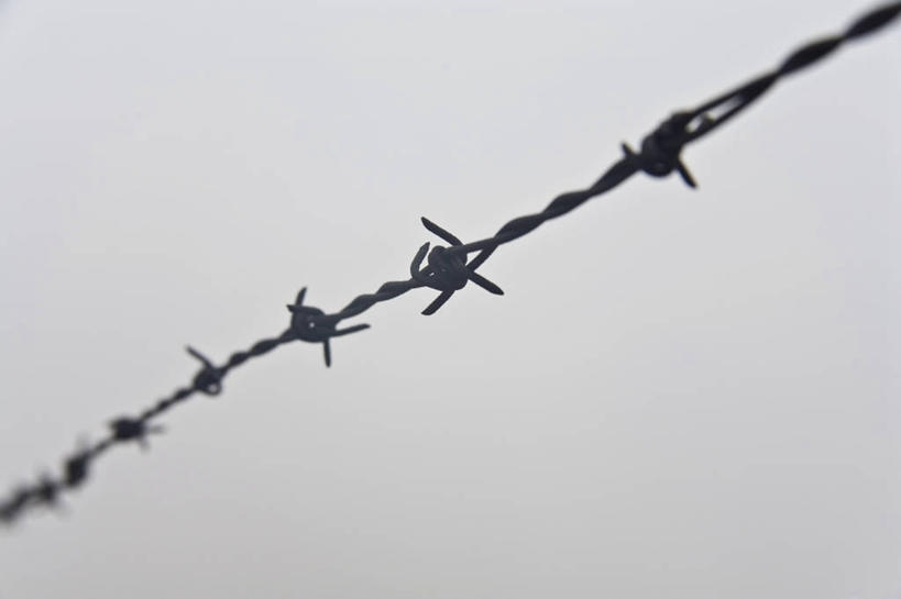 无人,横图,室内,特写,白天,白色背景,正面,静物,金属制品,环绕,缠绕,金属,铁丝网,摄影,影棚,锋利,尖锐,纠缠,铁蒺藜,彩图,影棚拍摄,拍摄