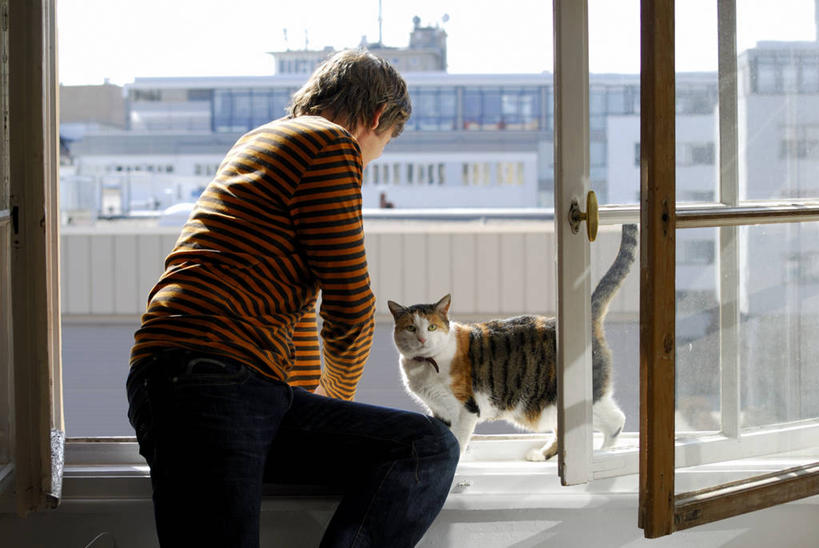 东方人,一个人,家,坐,横图,室内,白天,侧面,窗户,宠物,猫,亚洲,仅一个男性,仅一个人,阴影,服装,裤子,反射,影子,房屋,屋子,公寓,注视,休闲裤,休闲装,黄种人,洋房,楼房,玻璃窗,住宅,仅一个年轻男性,一只,衣服,动物,低头,观察,看,休闲,休闲服,可爱,搭,服饰,观看,察看,搭着,关注,猫咪,男人,男性,年轻男性,亚洲人,坐着,半身,彩图,房子