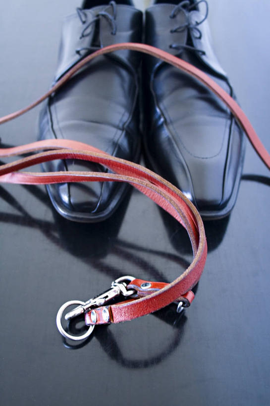 无人,竖图,俯视,室内,特写,白天,鞋,静物,鞋子,一双,一条,阴影,反射,影子,皮革,狗绳,绳子,绳索,狗链,牵引绳,项圈,彩图,高角度拍摄,皮鞋,狗链子,狗项圈