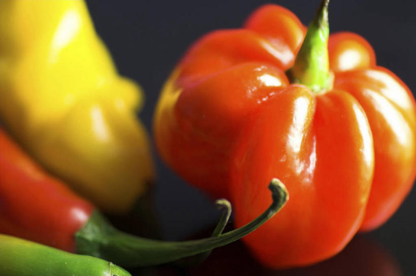 无人,横图,俯视,室内,特写,白天,辣椒,蔬菜,一堆,许多,阴影,堆叠,堆积,黑色背景,朦胧,模糊,新鲜,反射,影子,食品,很多,食物,黄色,红色,绿色,摄影,有机食品,绿色食品,影棚,堆,辣角,大椒,辣虎,广椒,墨西哥辣椒,哈雷派尼奥,哈雷派尼奥辣椒,辣子,海椒,番椒,彩图,高角度拍摄,影棚拍摄,拍摄