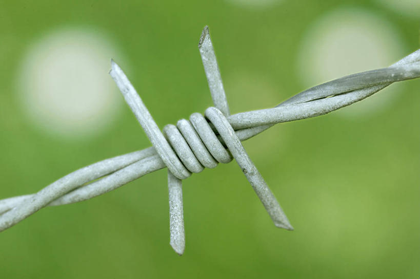 无人,横图,室外,特写,白天,正面,静物,阴影,朦胧,模糊,环绕,缠绕,反射,影子,铁丝网,白色,纠缠,铁蒺藜,彩图